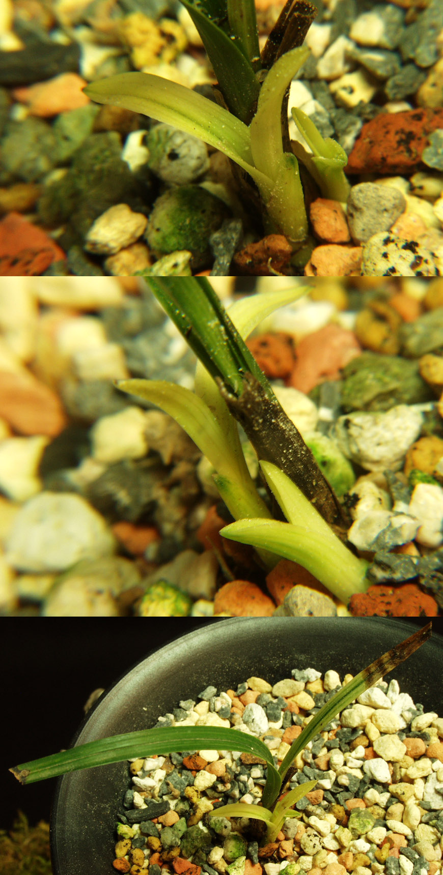 ������ ū������ �� �� �ֽ��ϴ�.