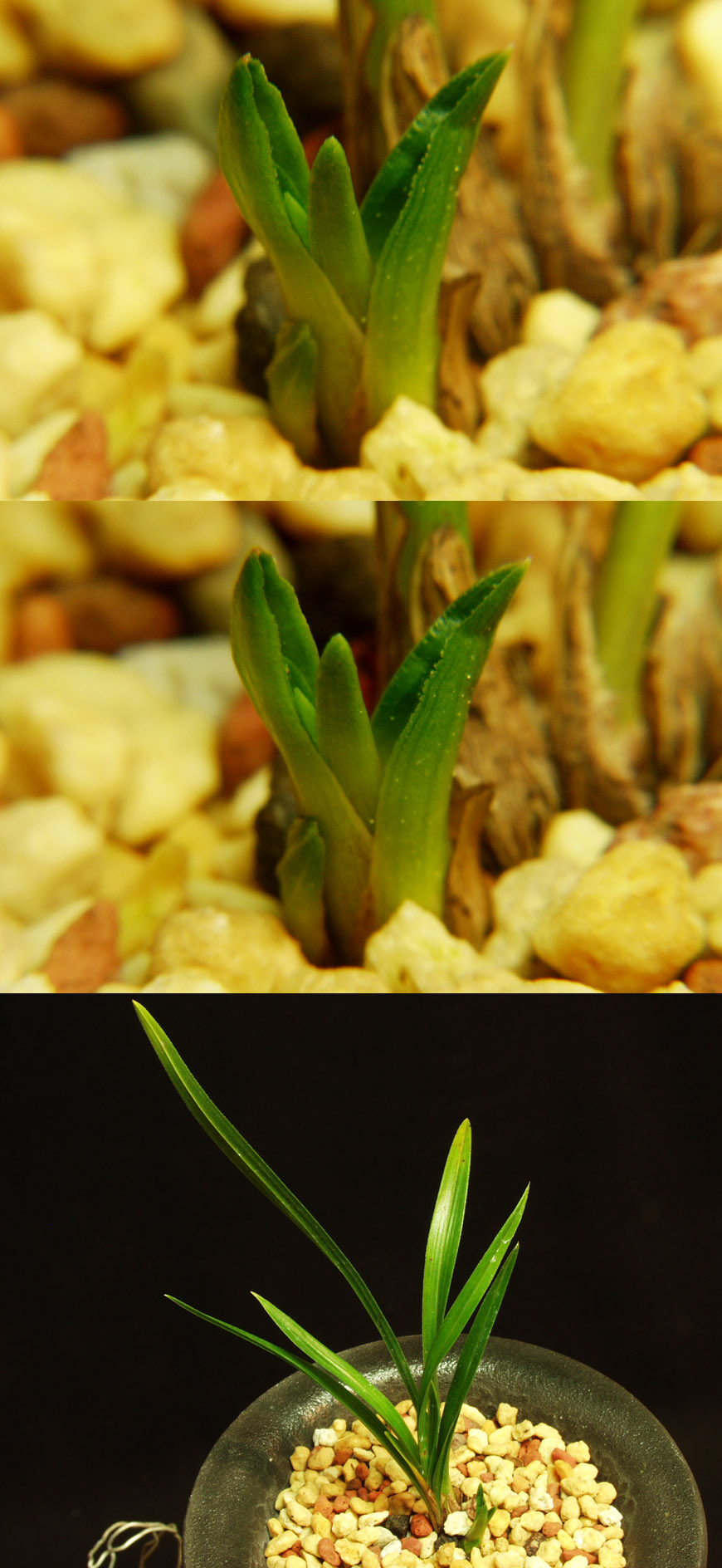 ������ ū������ �� �� �ֽ��ϴ�.