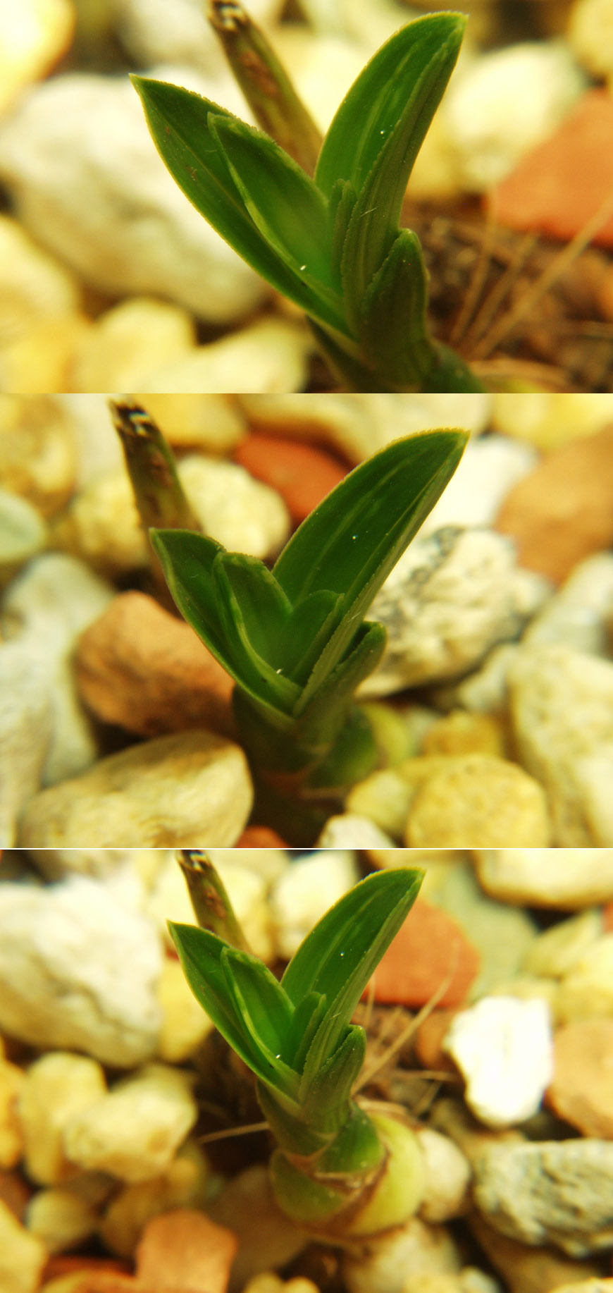 ������ ū������ �� �� �ֽ��ϴ�.