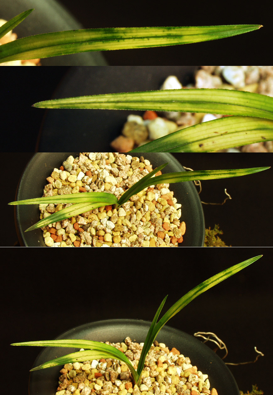 ������ ū������ �� �� �ֽ��ϴ�.