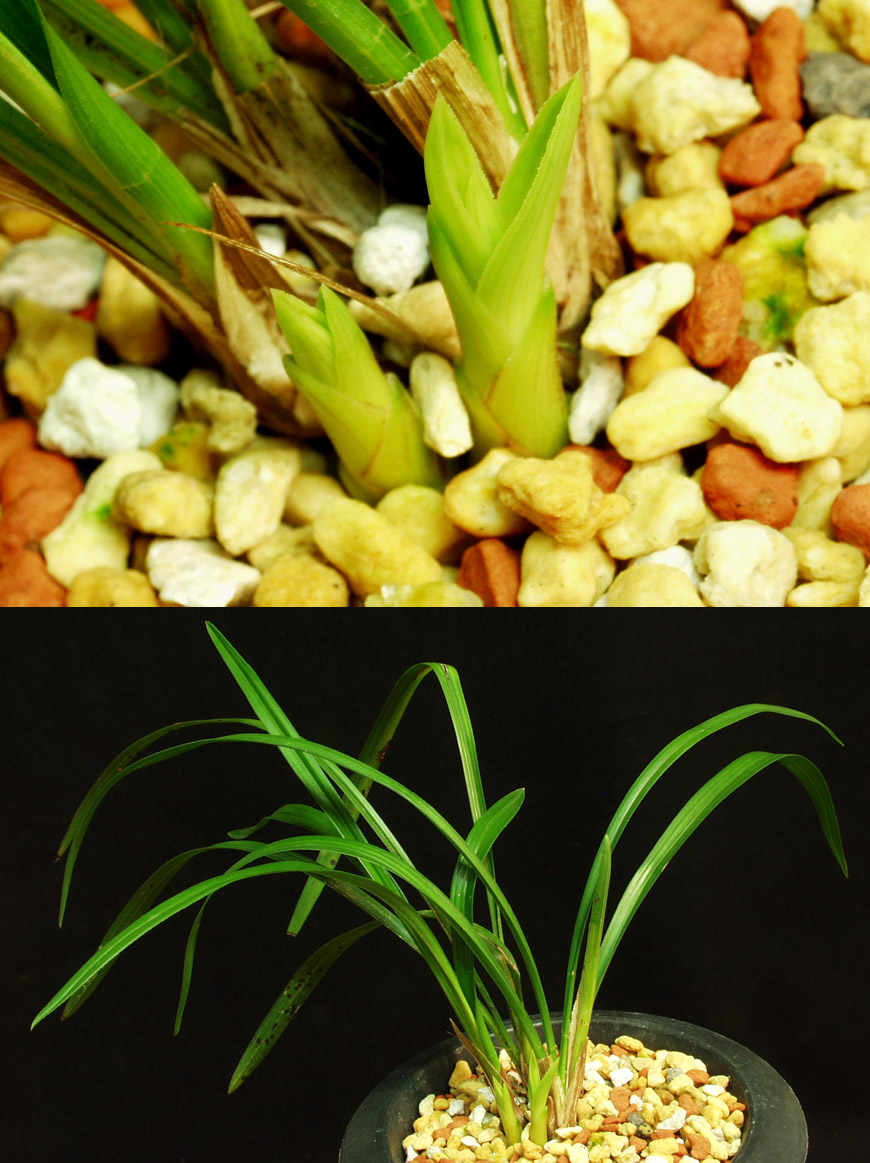 ������ ū������ �� �� �ֽ��ϴ�.