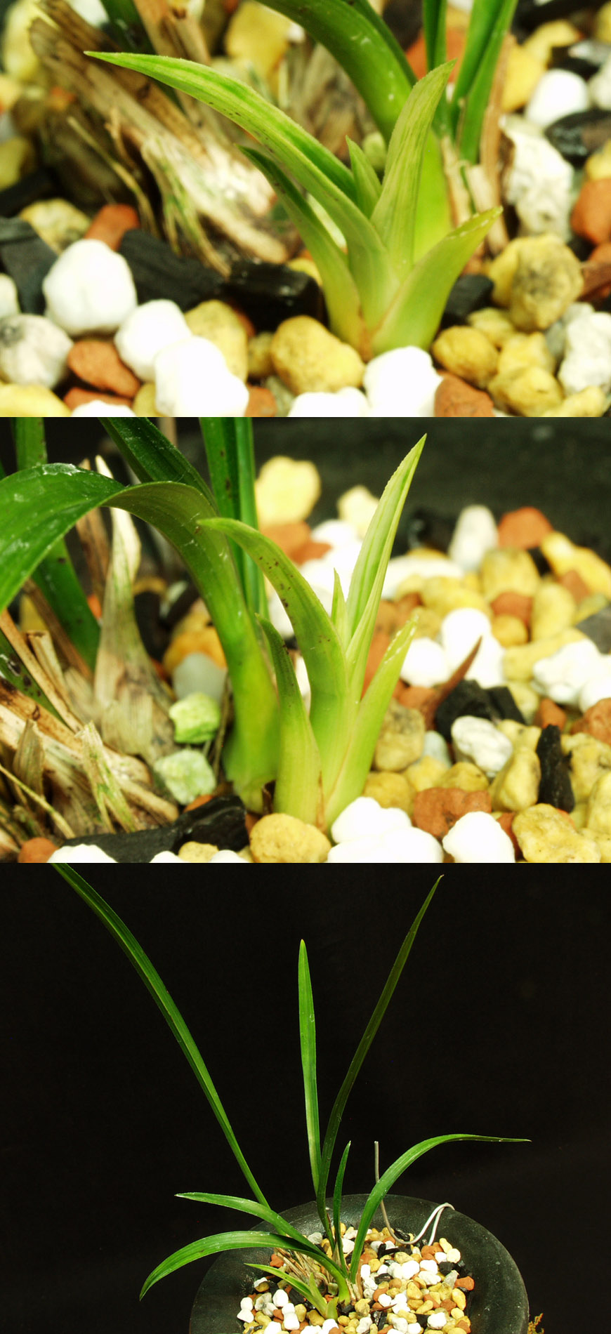 ������ ū������ �� �� �ֽ��ϴ�.