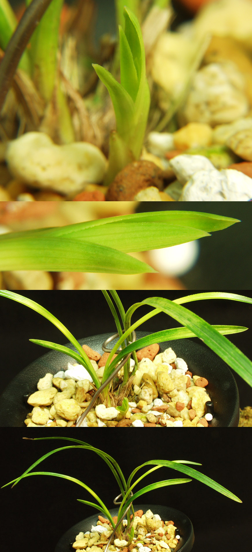 ������ ū������ �� �� �ֽ��ϴ�.