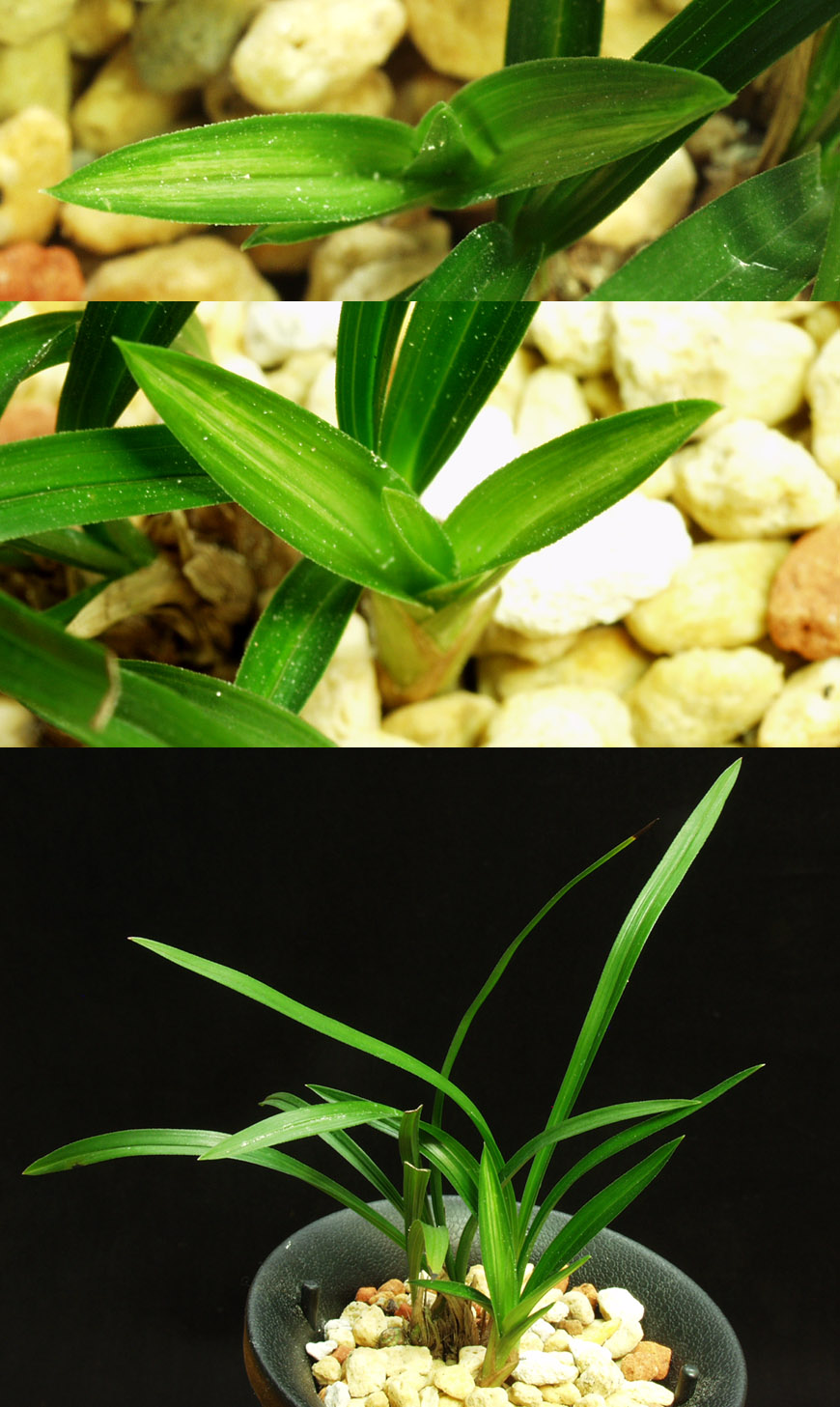 ������ ū������ �� �� �ֽ��ϴ�.