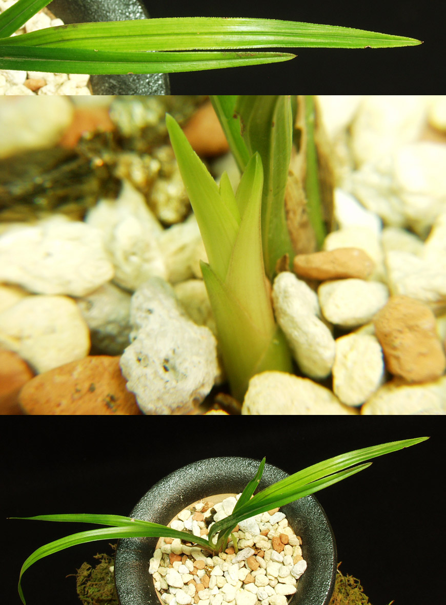 ������ ū������ �� �� �ֽ��ϴ�.