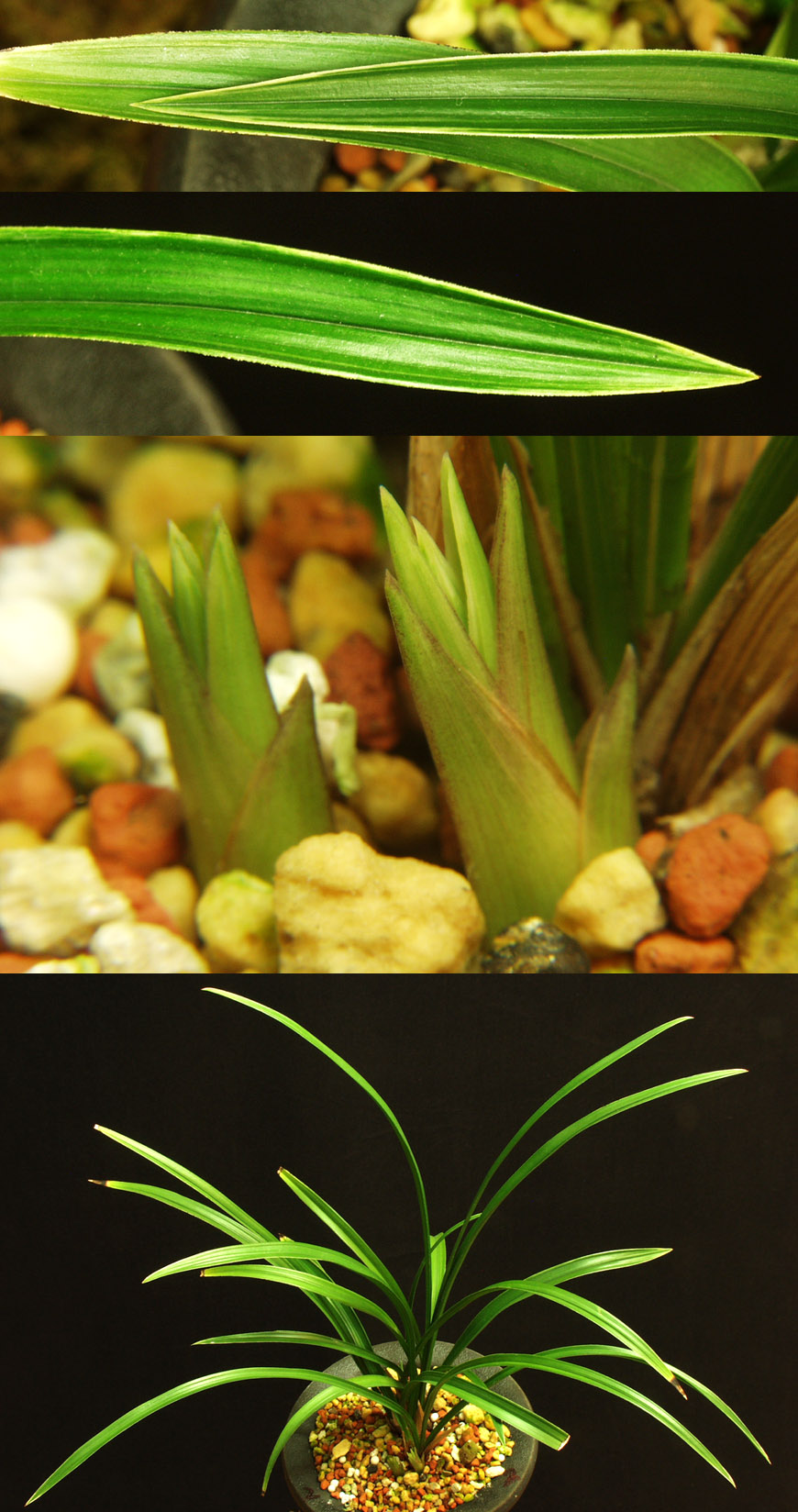 ������ ū������ �� �� �ֽ��ϴ�.