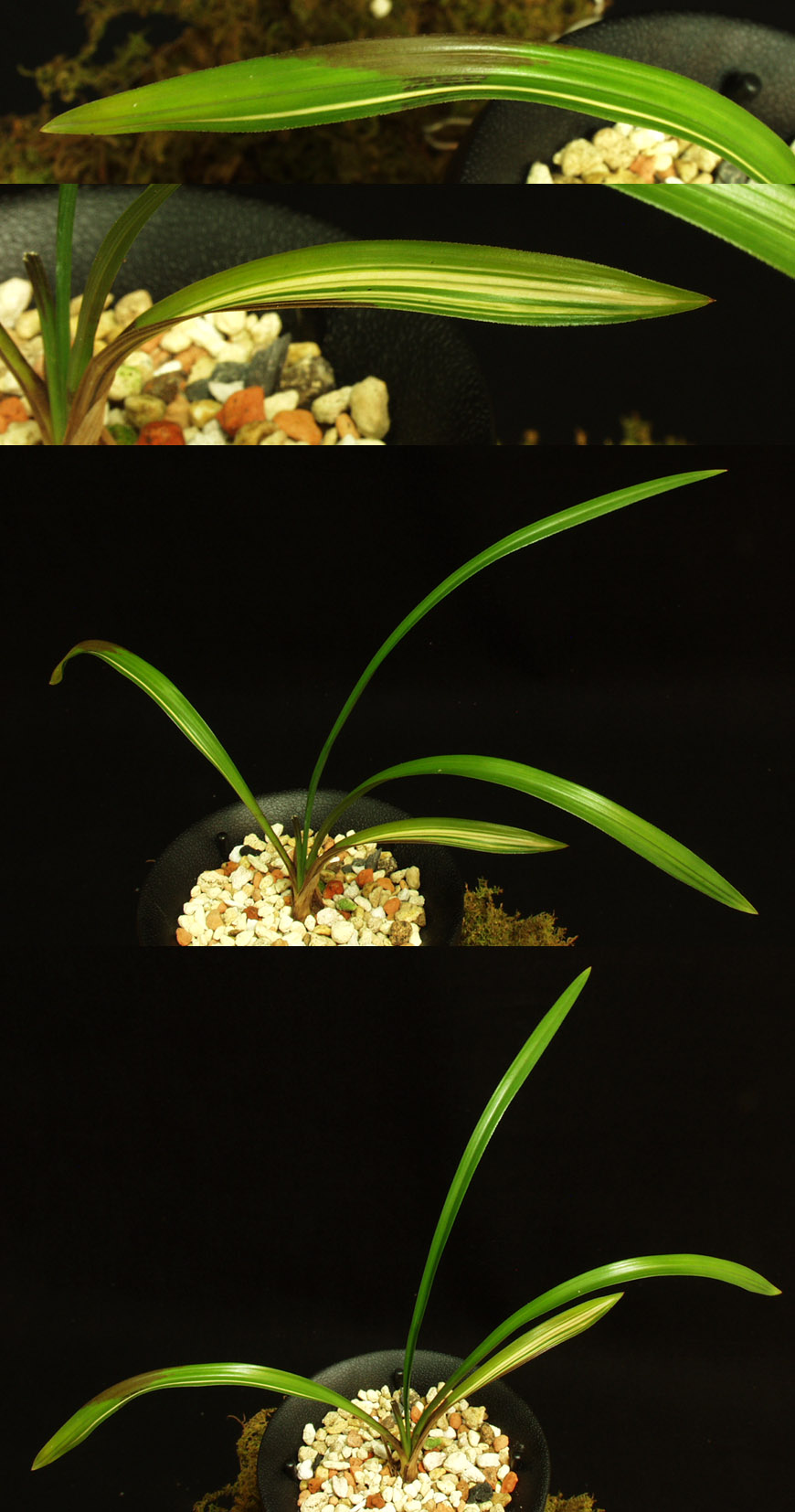 ������ ū������ �� �� �ֽ��ϴ�.