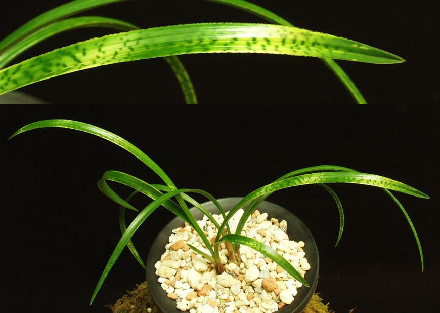 ������ ū������ �� �� �ֽ��ϴ�.