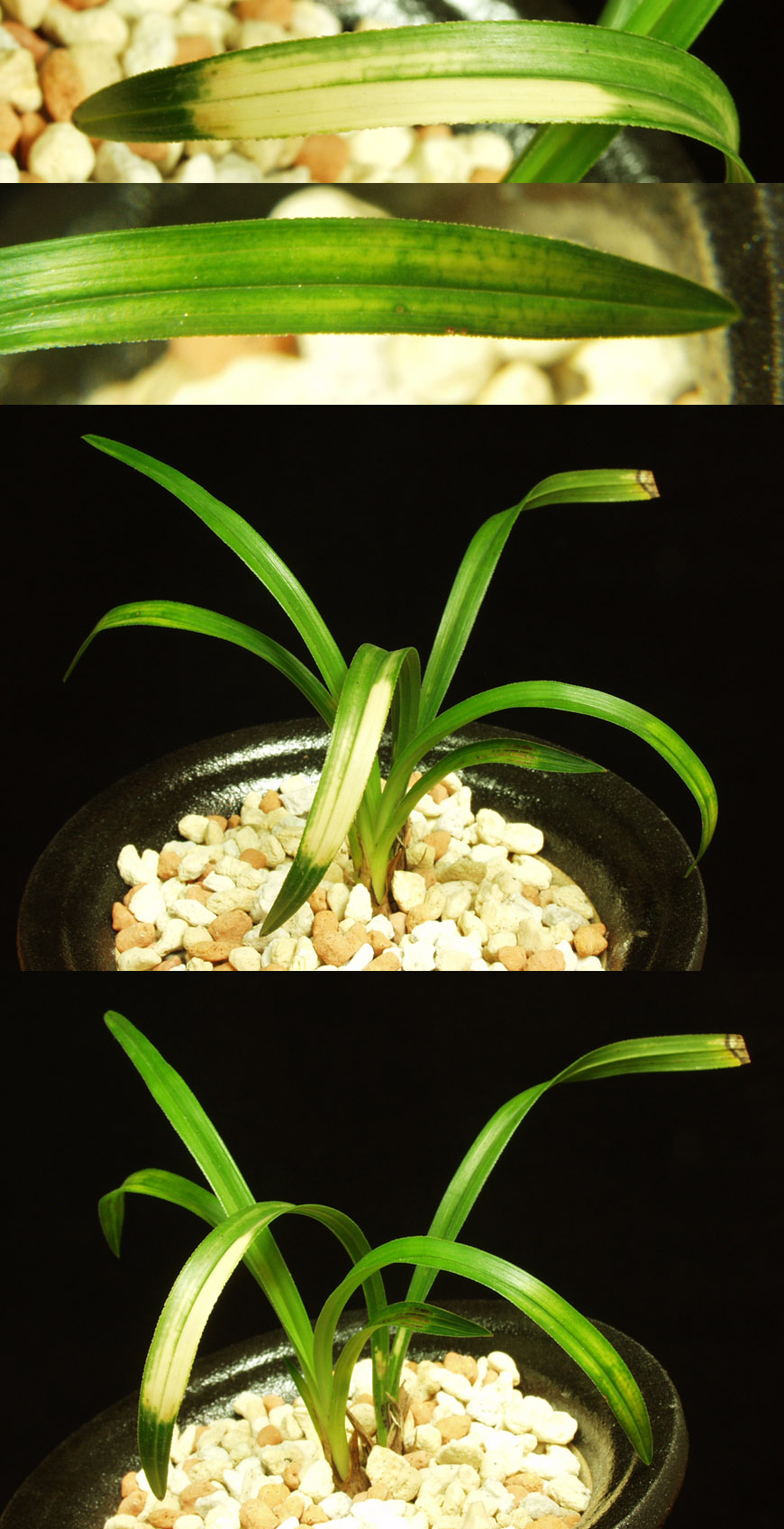 ������ ū������ �� �� �ֽ��ϴ�.