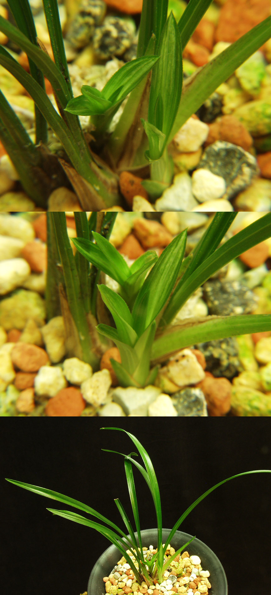 ������ ū������ �� �� �ֽ��ϴ�.