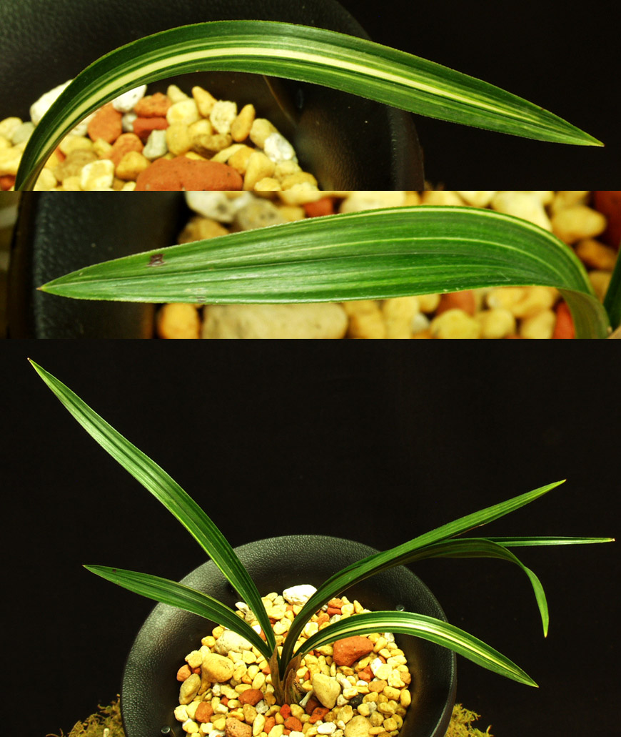 ������ ū������ �� �� �ֽ��ϴ�.