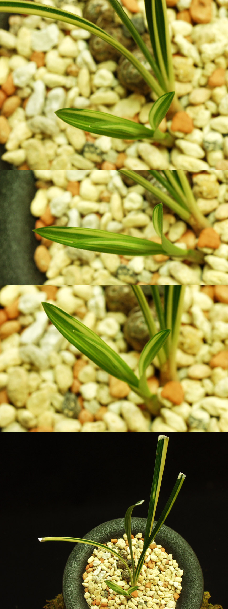 ������ ū������ �� �� �ֽ��ϴ�.