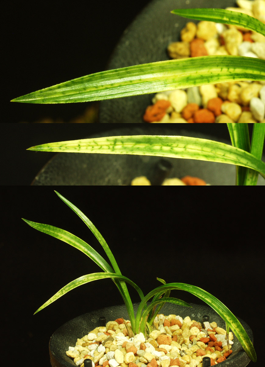 ������ ū������ �� �� �ֽ��ϴ�.