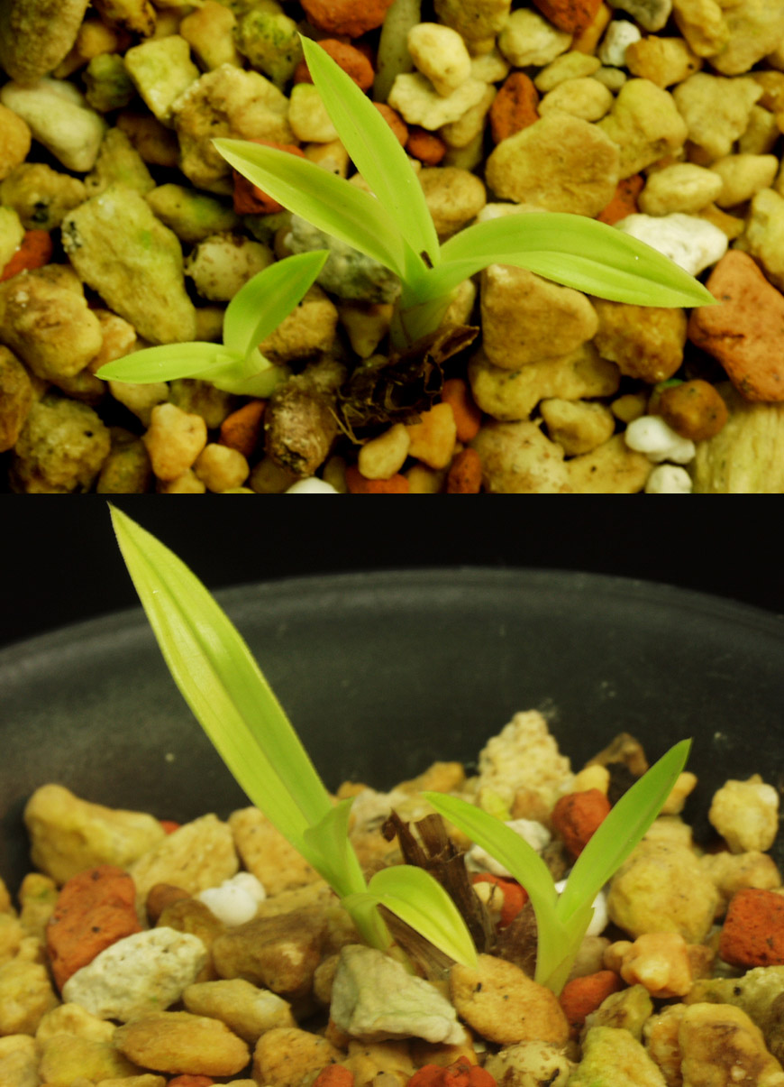 ������ ū������ �� �� �ֽ��ϴ�.