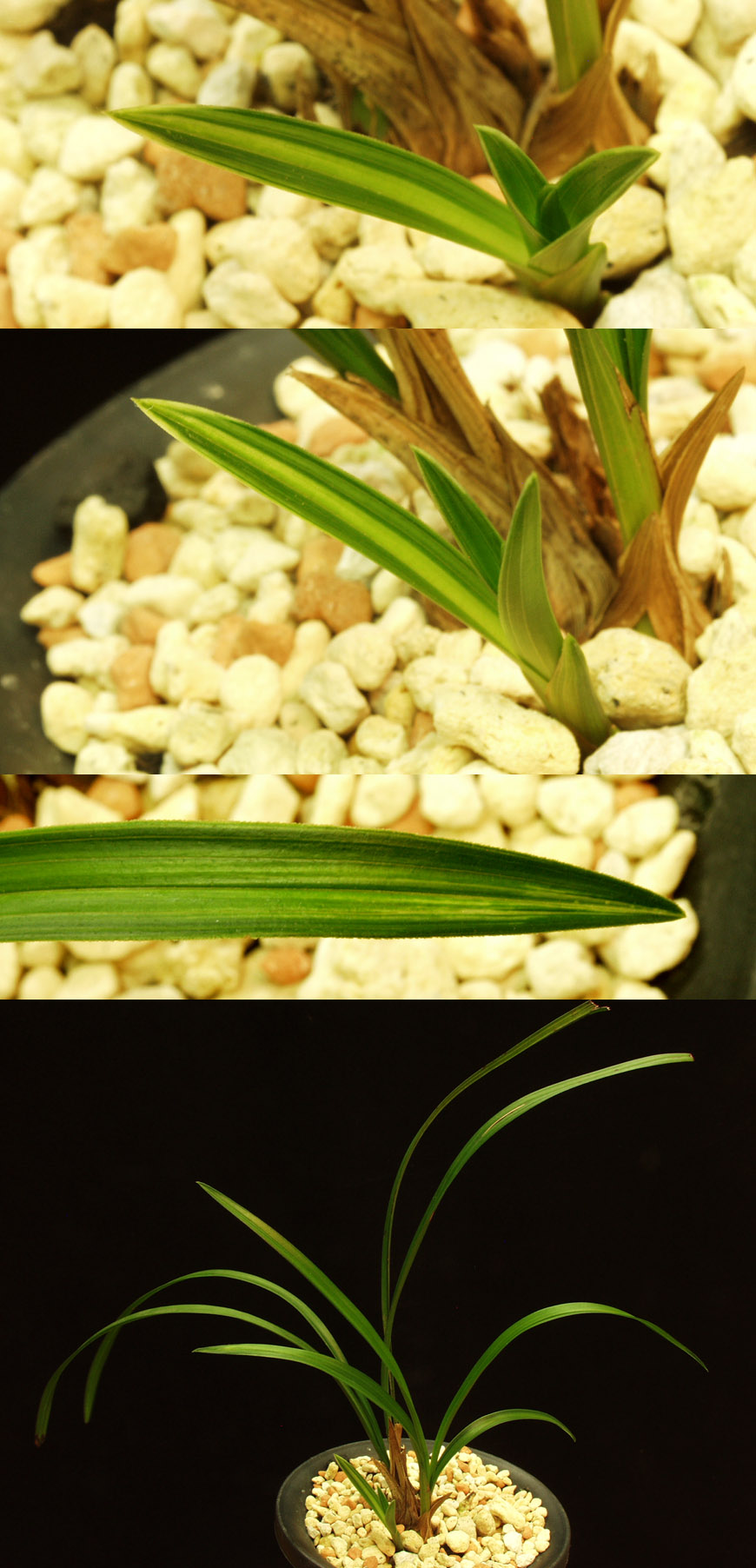 ������ ū������ �� �� �ֽ��ϴ�.