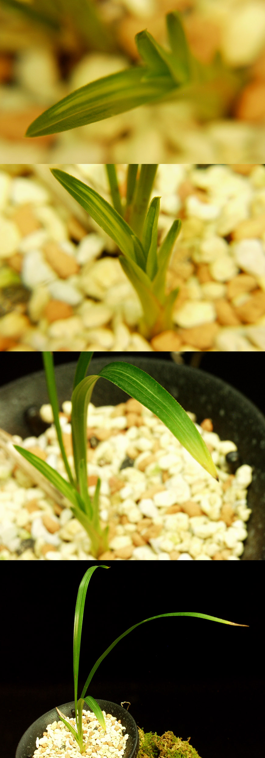 ������ ū������ �� �� �ֽ��ϴ�.