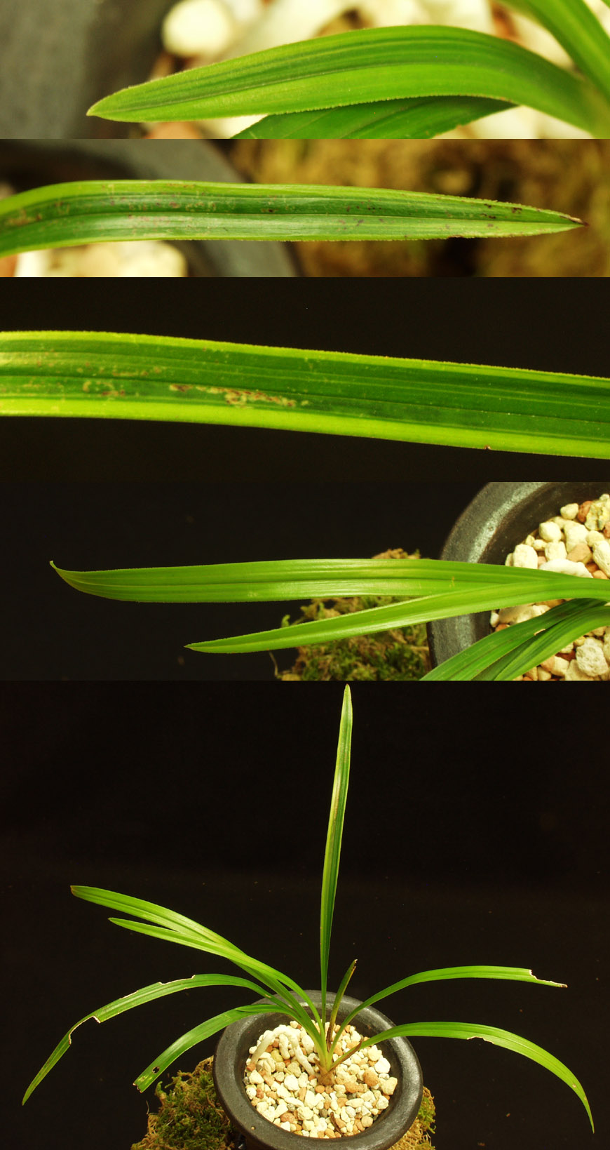 ������ ū������ �� �� �ֽ��ϴ�.