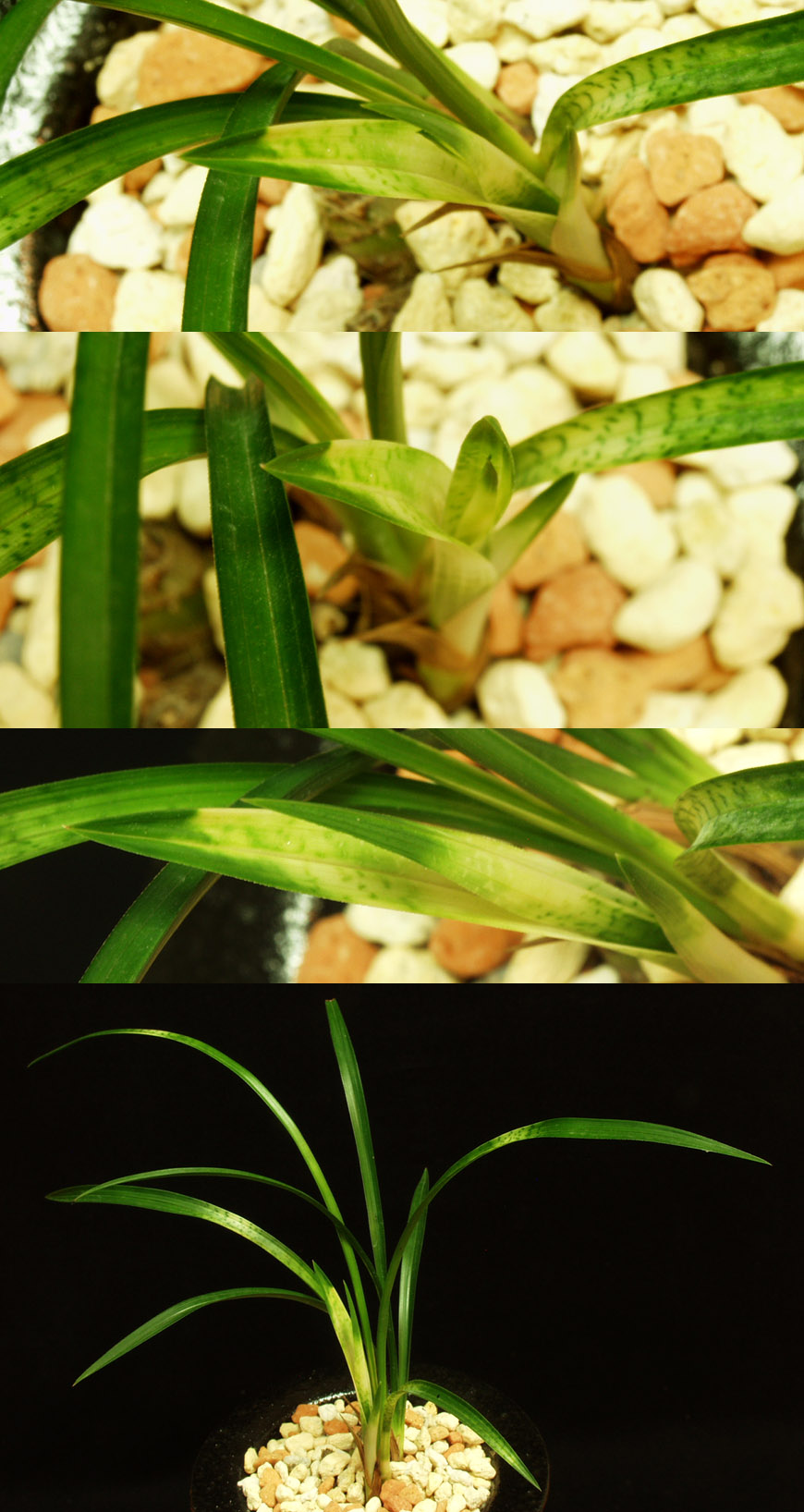 ������ ū������ �� �� �ֽ��ϴ�.