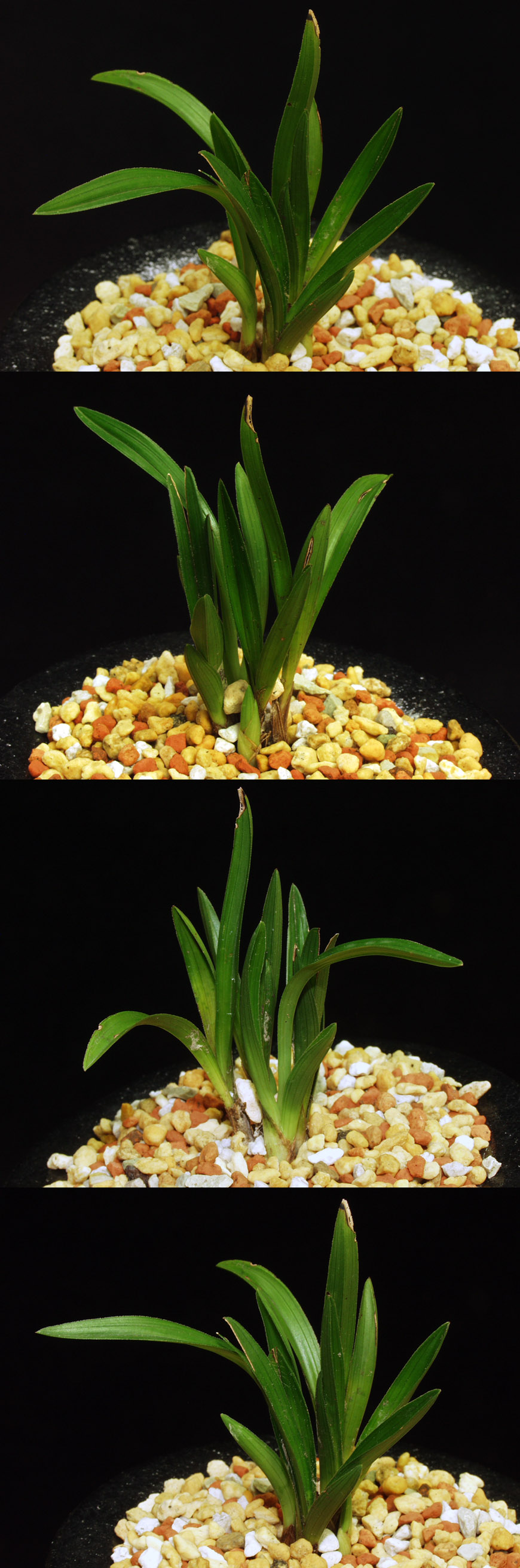 ������ ū������ �� �� �ֽ��ϴ�.