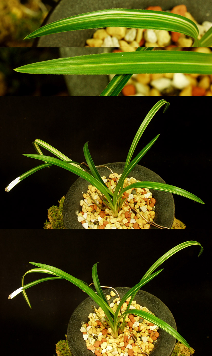 ������ ū������ �� �� �ֽ��ϴ�.