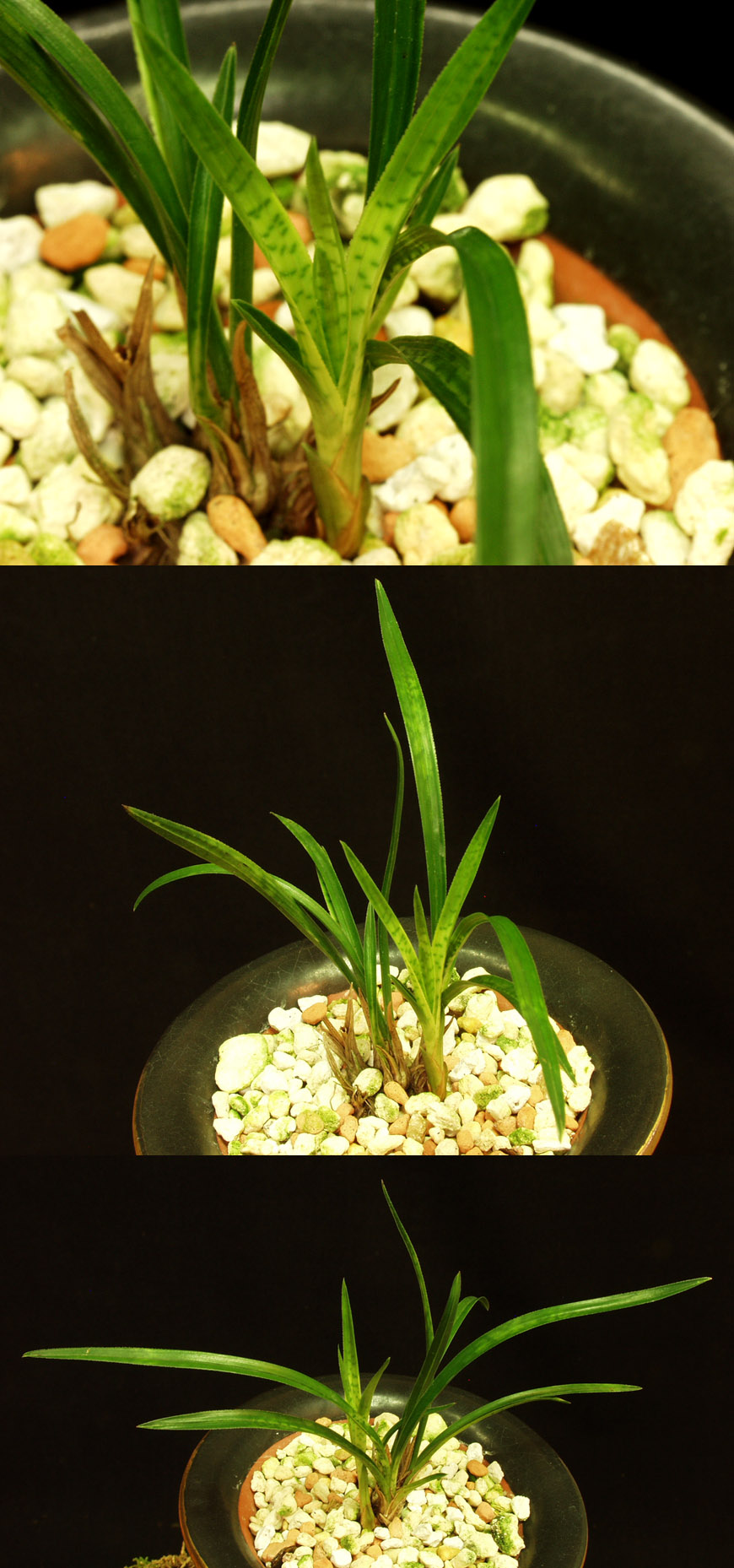 ������ ū������ �� �� �ֽ��ϴ�.