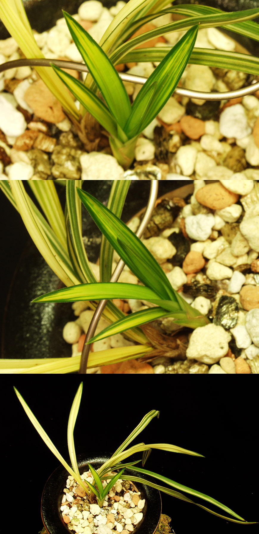 ������ ū������ �� �� �ֽ��ϴ�.