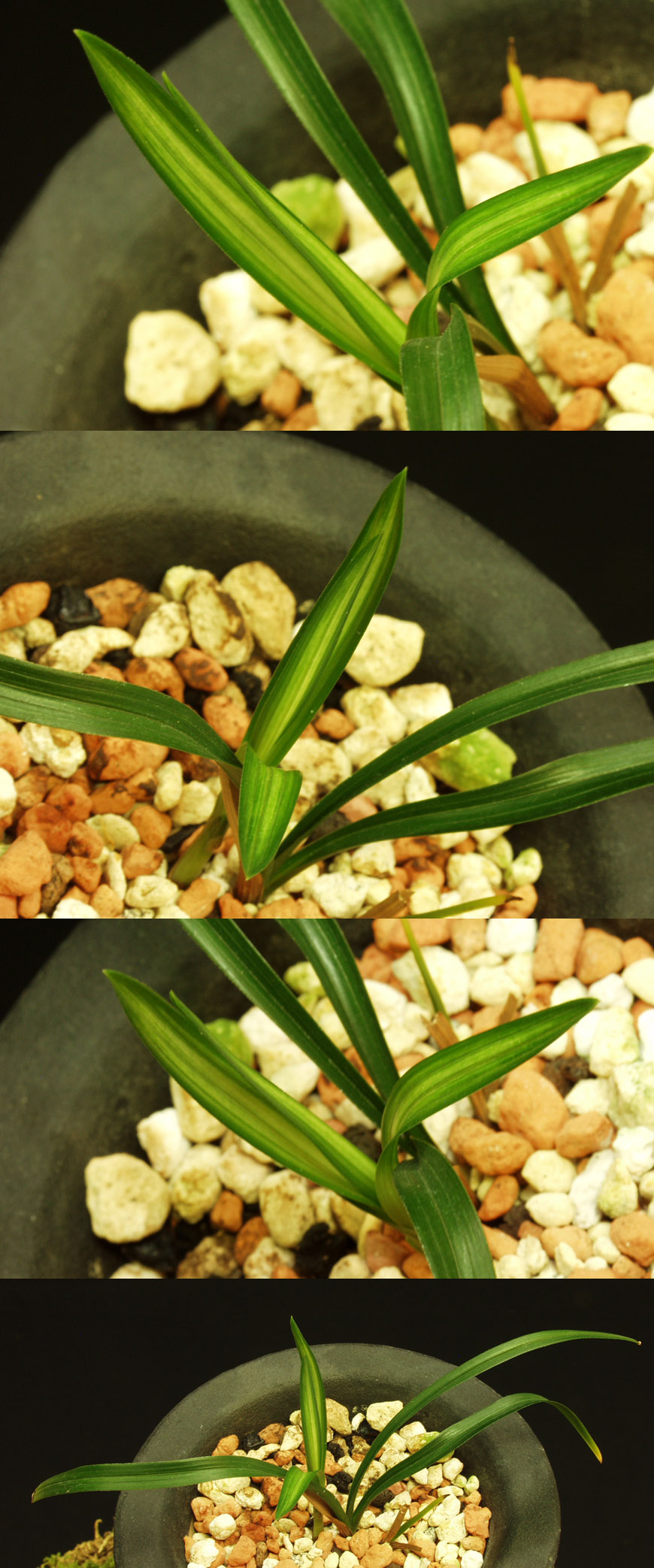 ������ ū������ �� �� �ֽ��ϴ�.