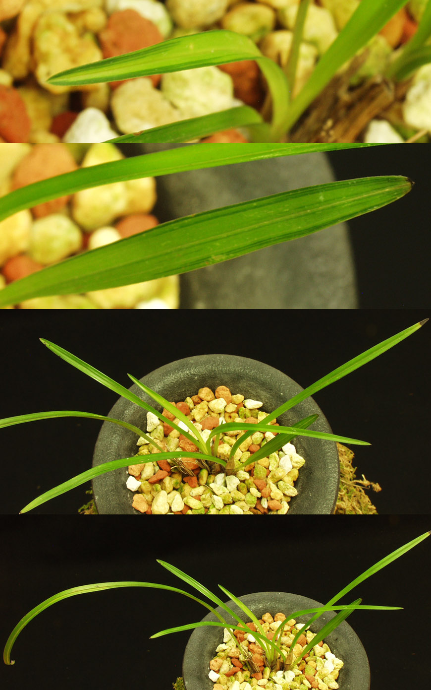 ������ ū������ �� �� �ֽ��ϴ�.