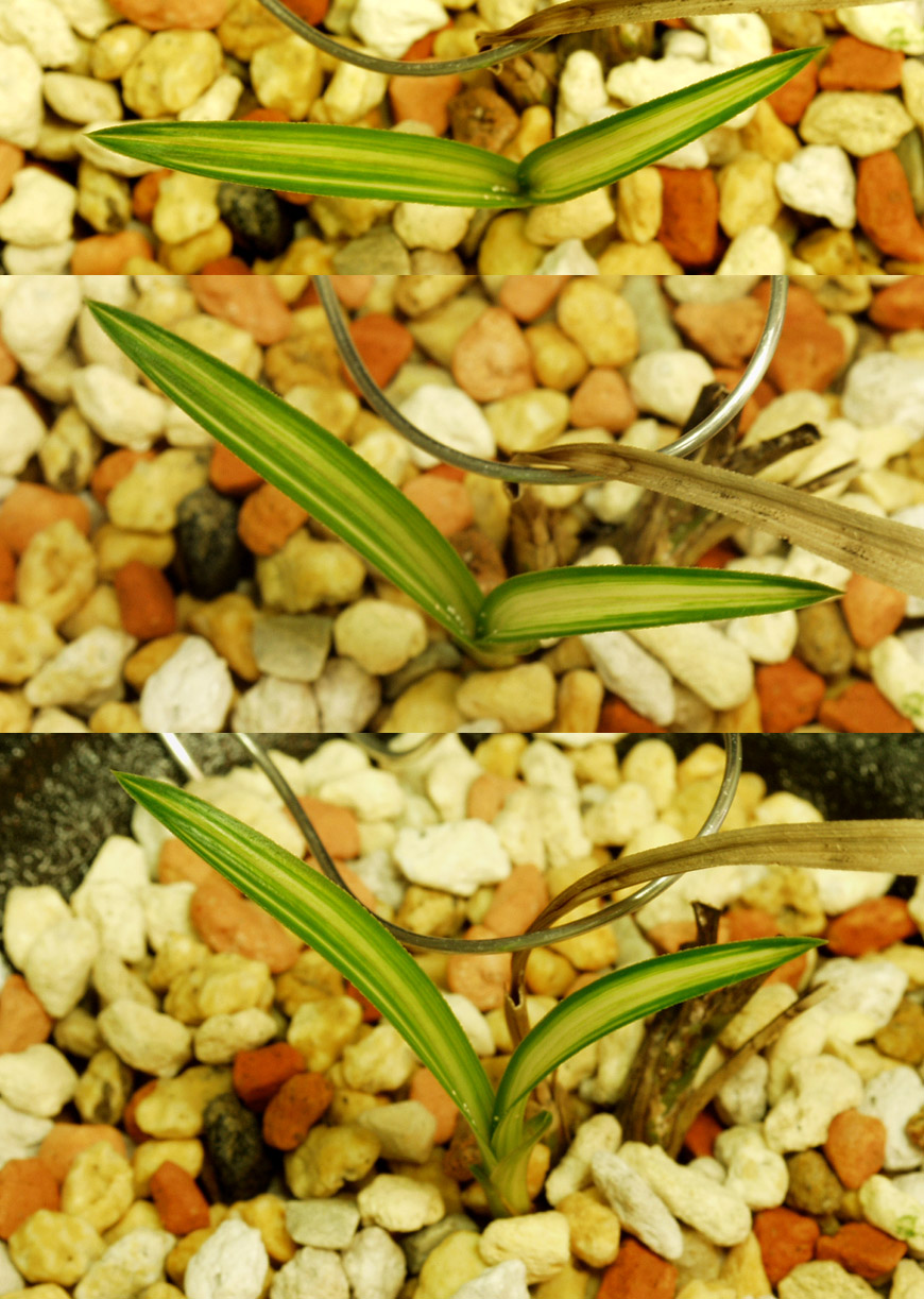 ������ ū������ �� �� �ֽ��ϴ�.