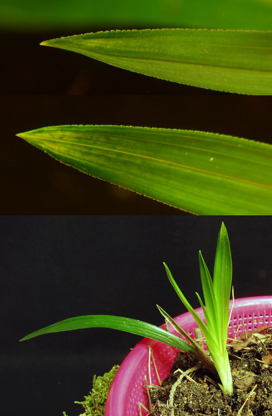 ������ ū������ �� �� �ֽ��ϴ�.