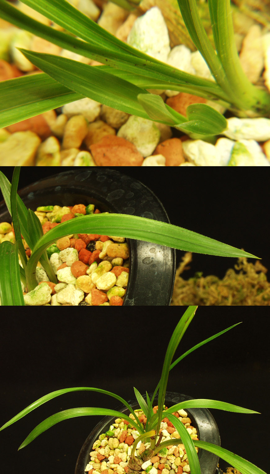 ������ ū������ �� �� �ֽ��ϴ�.