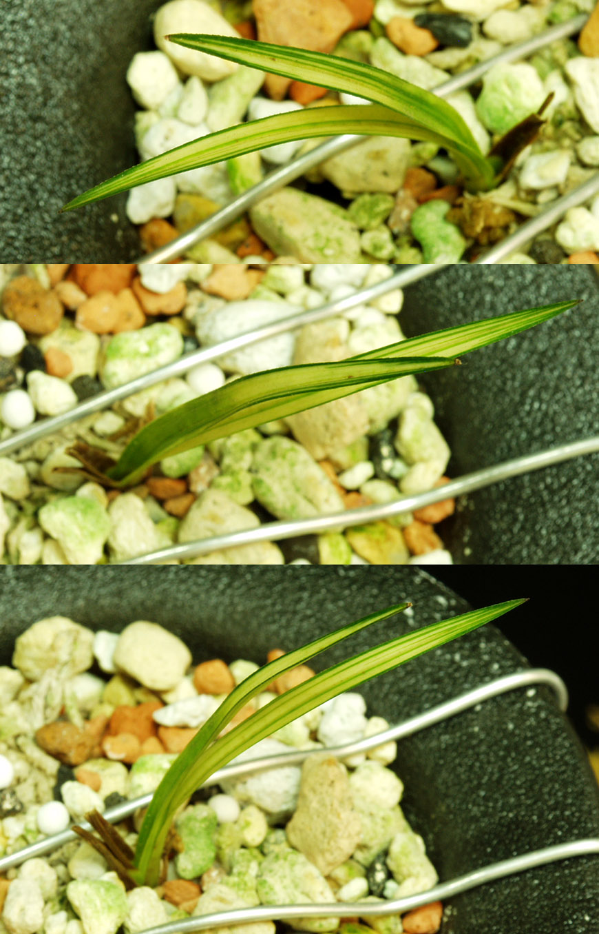 ������ ū������ �� �� �ֽ��ϴ�.