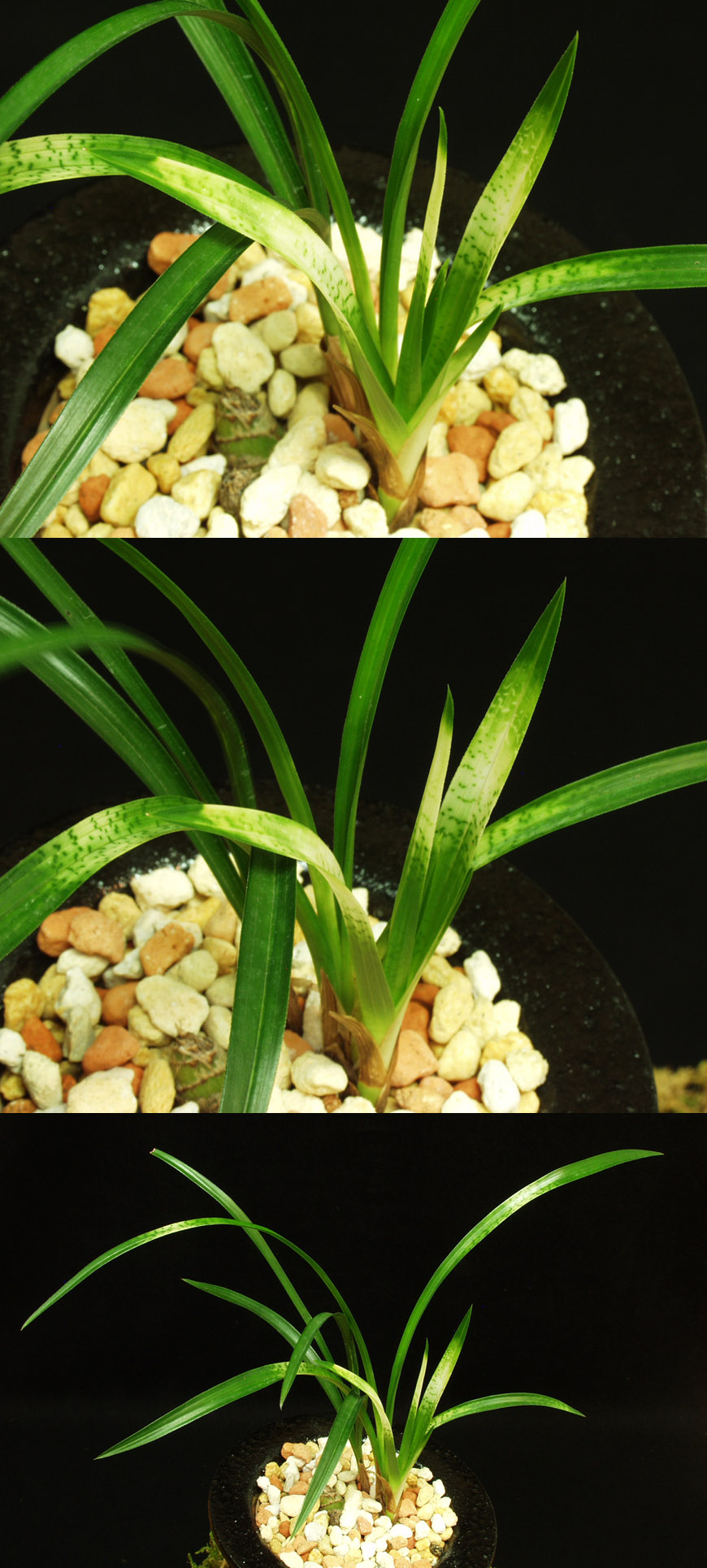 ������ ū������ �� �� �ֽ��ϴ�.