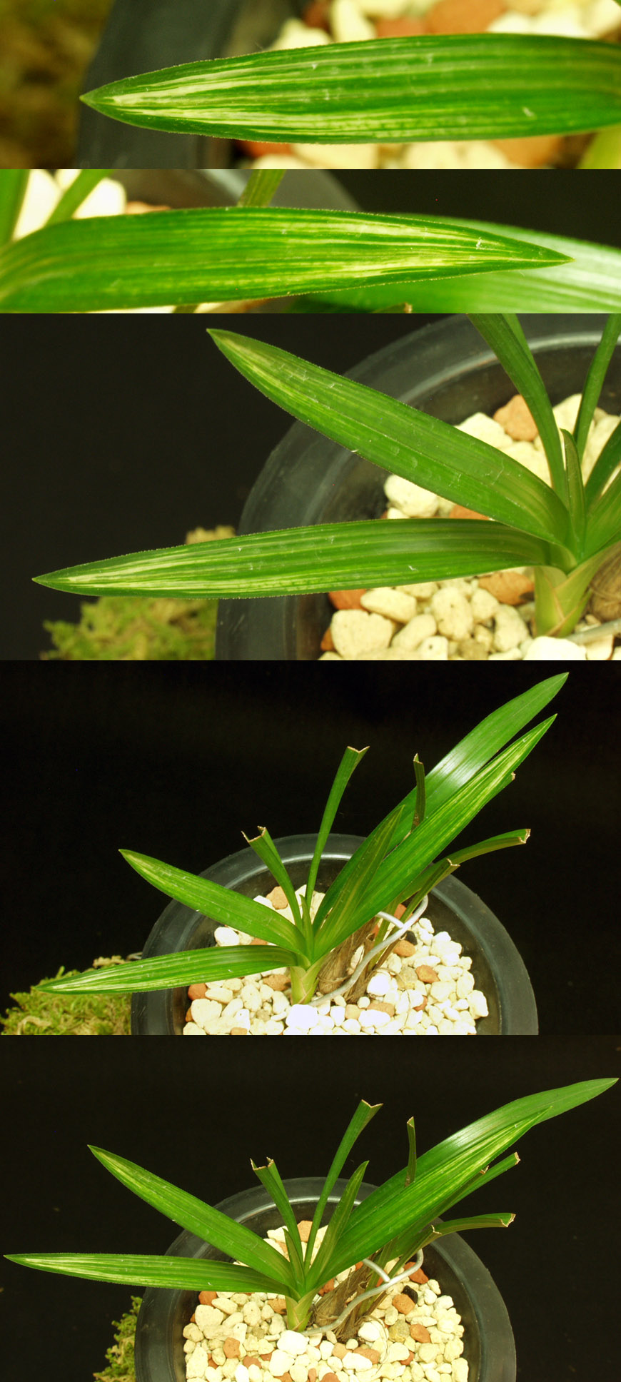 ������ ū������ �� �� �ֽ��ϴ�.