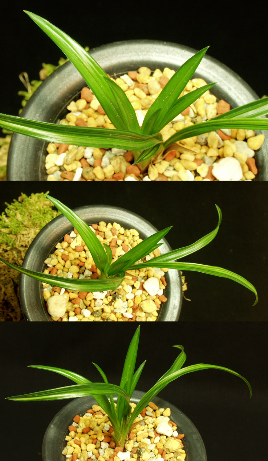 ������ ū������ �� �� �ֽ��ϴ�.