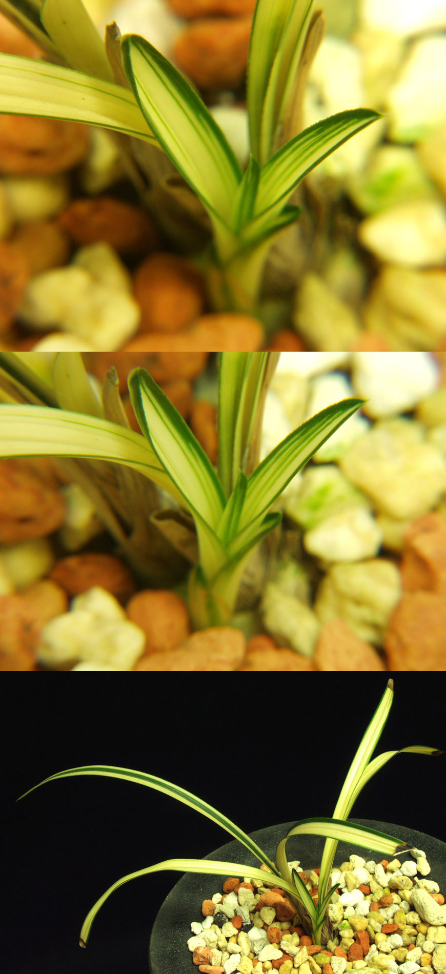 ������ ū������ �� �� �ֽ��ϴ�.