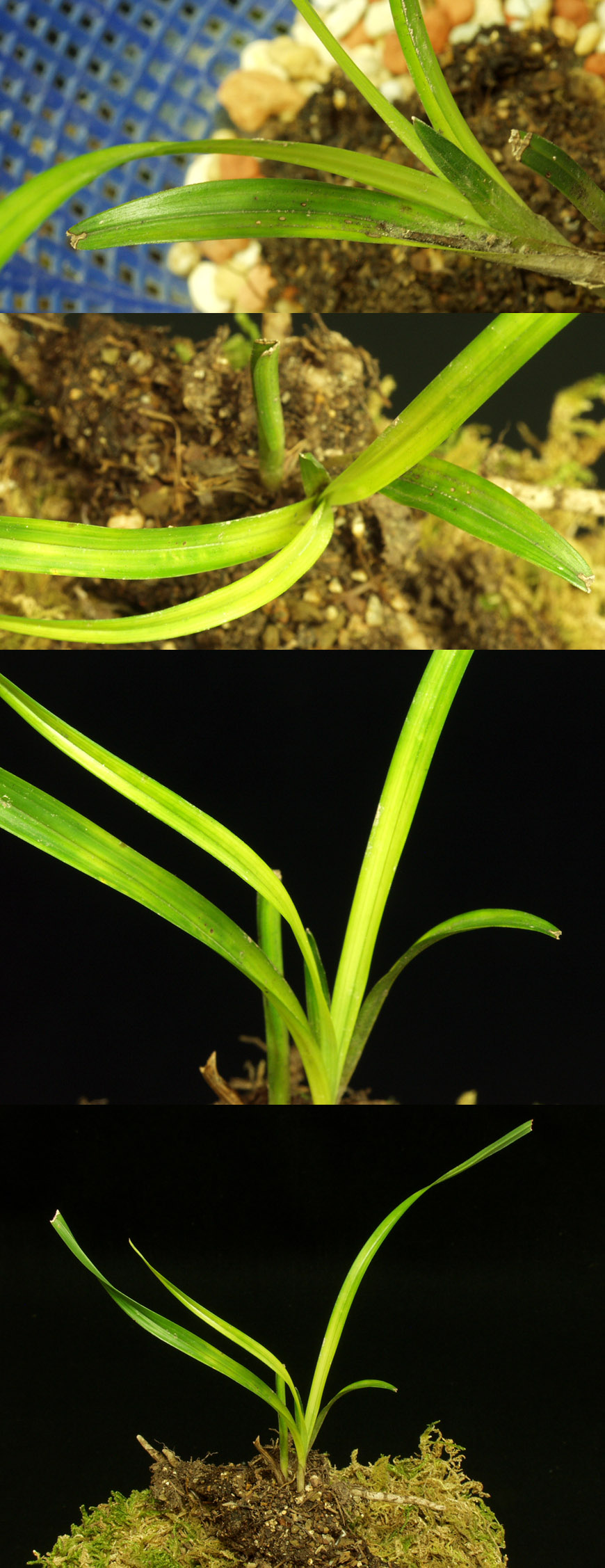 ������ ū������ �� �� �ֽ��ϴ�.