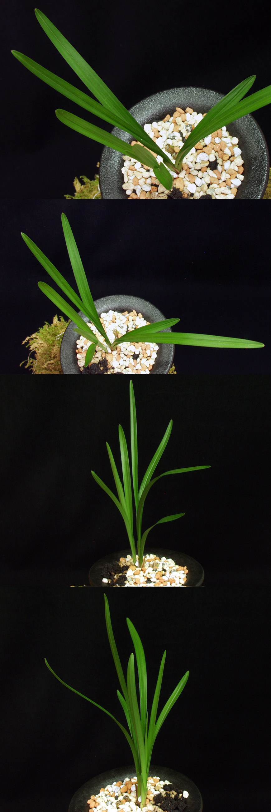 ������ ū������ �� �� �ֽ��ϴ�.