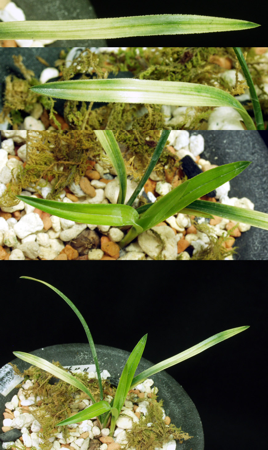 ������ ū������ �� �� �ֽ��ϴ�.