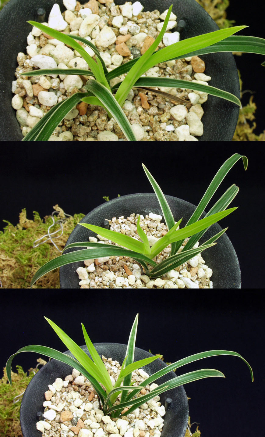 ������ ū������ �� �� �ֽ��ϴ�.