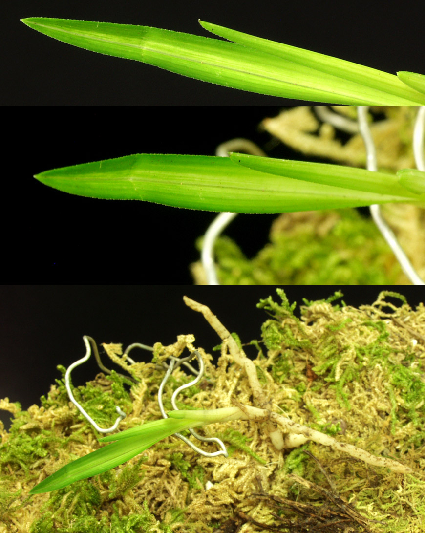 ������ ū������ �� �� �ֽ��ϴ�.