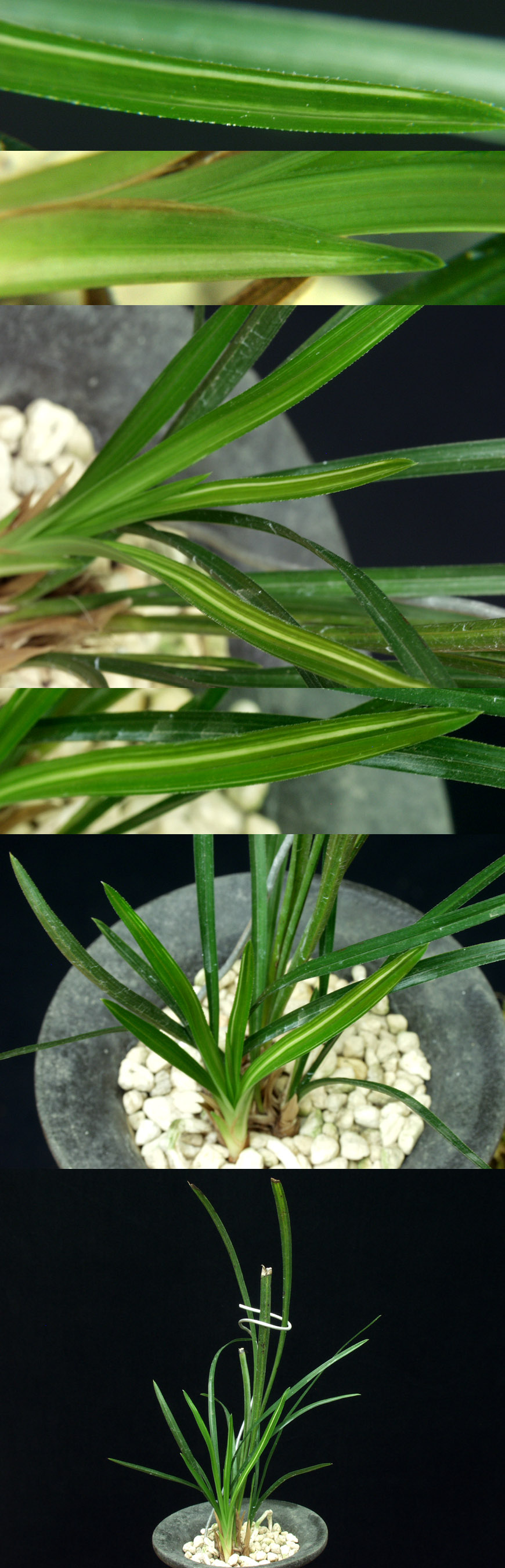 ������ ū������ �� �� �ֽ��ϴ�.