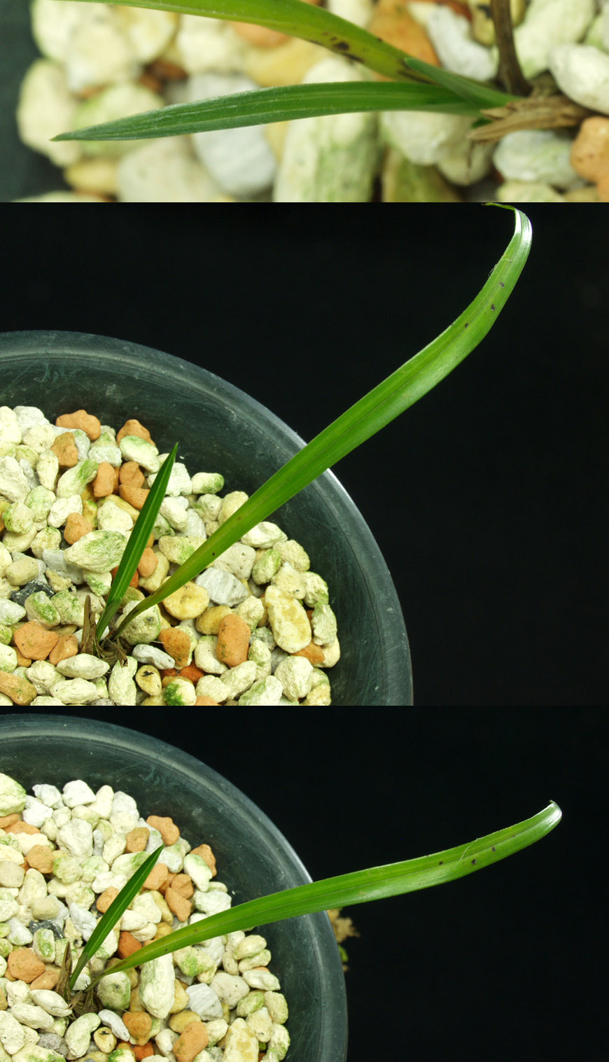 ������ ū������ �� �� �ֽ��ϴ�.