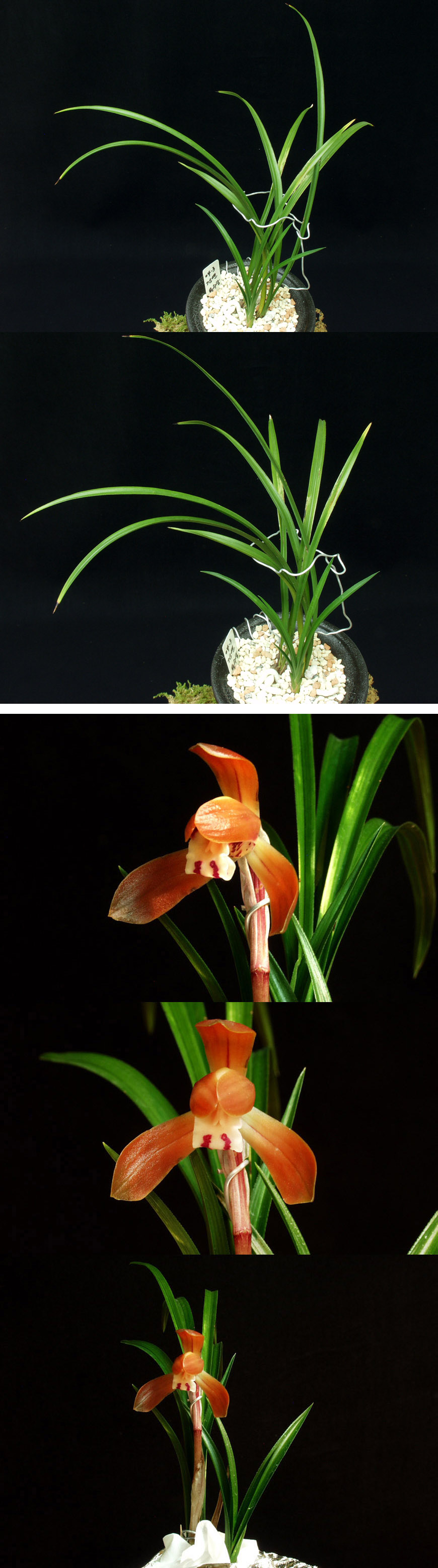 ������ ū������ �� �� �ֽ��ϴ�.