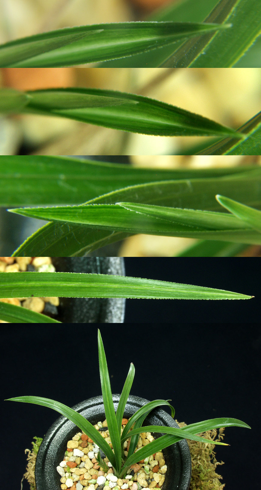 ������ ū������ �� �� �ֽ��ϴ�.