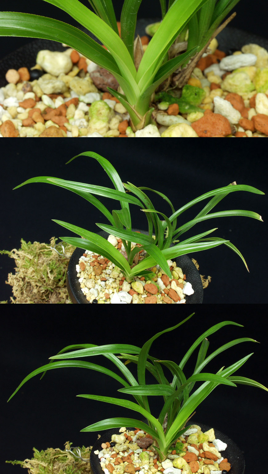 ������ ū������ �� �� �ֽ��ϴ�.