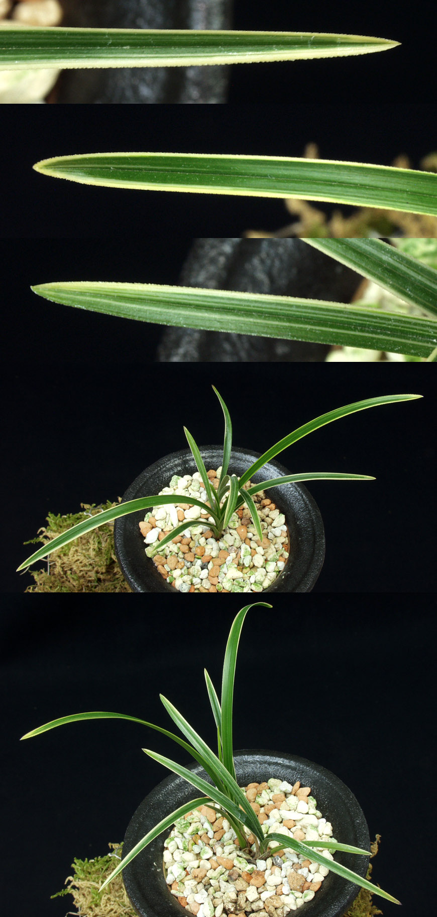 ������ ū������ �� �� �ֽ��ϴ�.