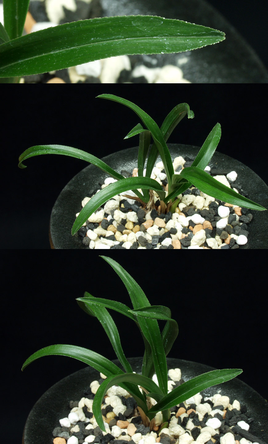 ������ ū������ �� �� �ֽ��ϴ�.