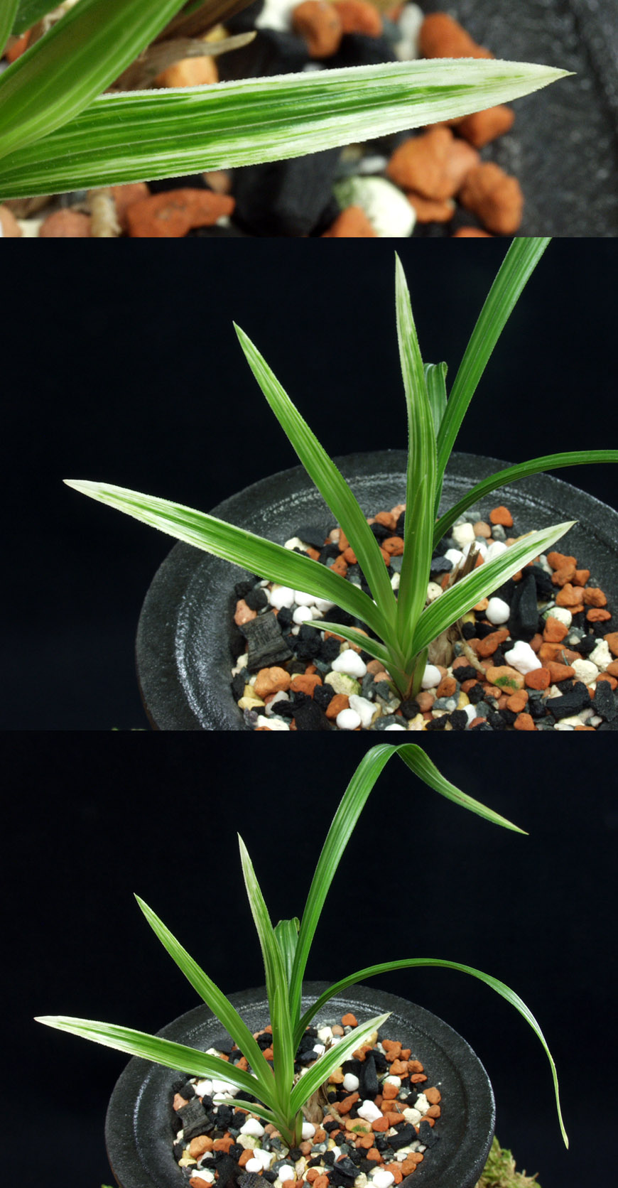 ������ ū������ �� �� �ֽ��ϴ�.