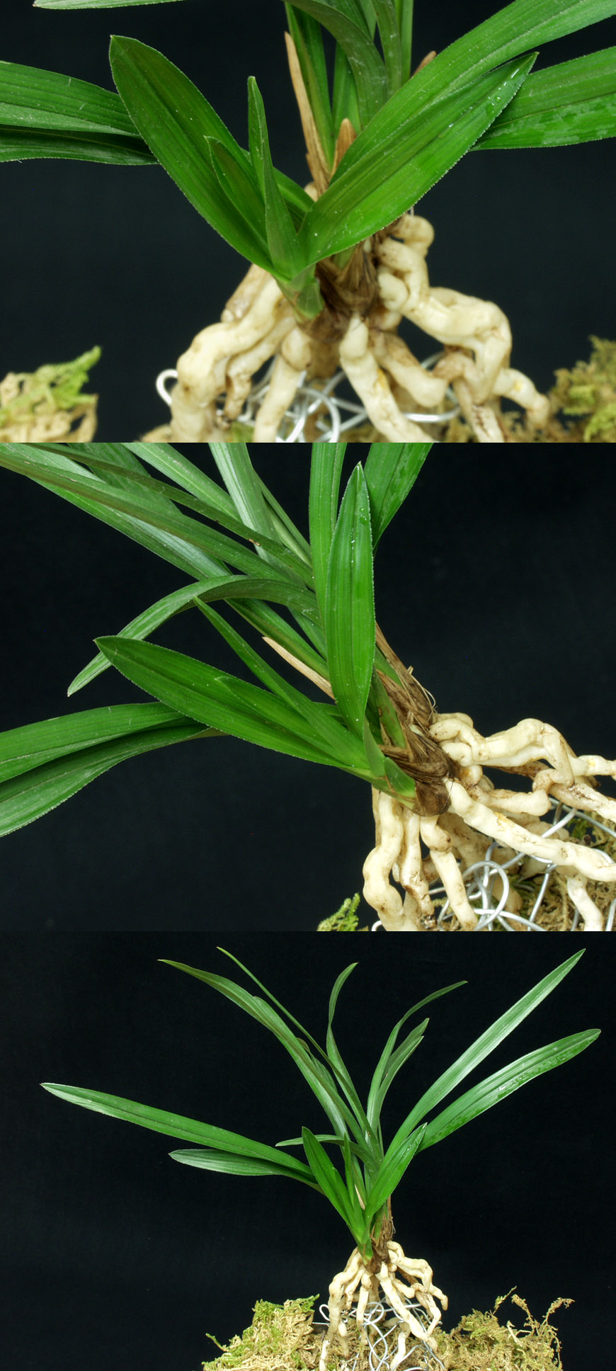 ������ ū������ �� �� �ֽ��ϴ�.